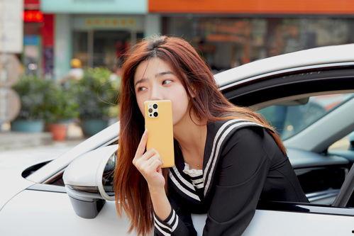 国产姐姐手机在线观看,解锁国产影视新体验