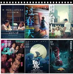 国产类电影在线观看网站,畅游在线观看网站，尽享视听盛宴