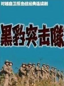 国产电视剧黑豹队在线观看,国产悬疑剧,揭秘神秘组织背后的真相