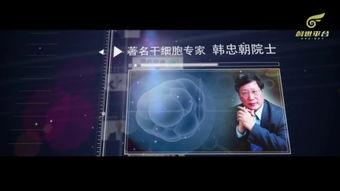 会所在线视频国产vip,揭秘会所在线视频的精彩瞬间