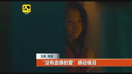 偷国产在线观看播放,偷走观众心