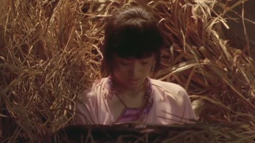 国产献身在线播放