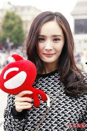 杨幂亚洲国产中文在线,亚洲国产影视界的璀璨明珠